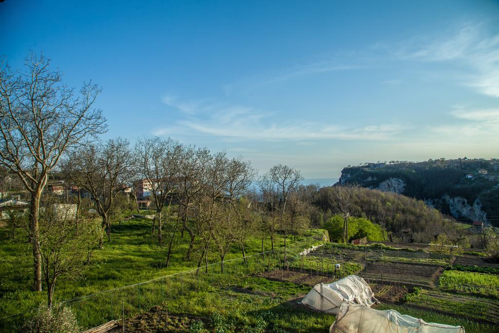 Da Zia Adele Ξενοδοχείο Agerola Δωμάτιο φωτογραφία